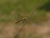 at-2013-web-37