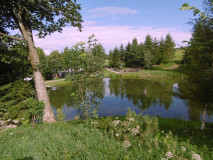 Pohled přes rybníček na hřiště, kde se Akademické týdny na Horalce konají